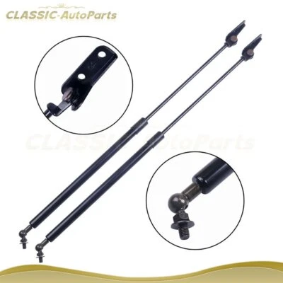 Set of 2 For 1989-1994 Geo Metro Rear Hatch Liftgate Lift Supports Struts Foto 1 de 4