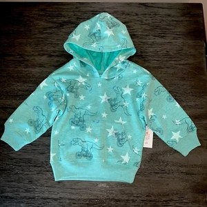 Toddler Boy Long Sleeve Dinosaur Fleece Hoodie Size 12 M 2T 4T New - Picture 1 of 4