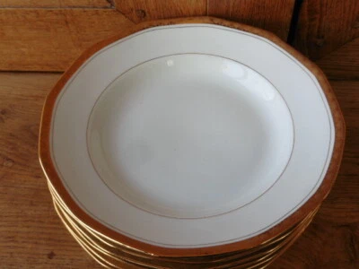 6 assiettes plates  en porcelaine Limoges signé A.Blin décor VIERZON vintage - Photo 1/3