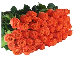 Farm Fresh Cut Elegant Roses Flower Bouquet 25 Stems - Picture 1 of 2