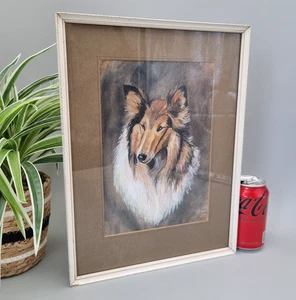 Vintage Collie Dog Portrait Watercolour Painting Rough Collie Framed & Glazed - Foto 1 di 11