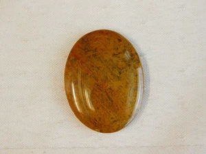 Fossil Palm Wood Cabochon - Picture 1 of 6