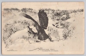 Sombrero de medicina postal Alberta Canadá c1908 recuerdo - Imagen 1 de 2