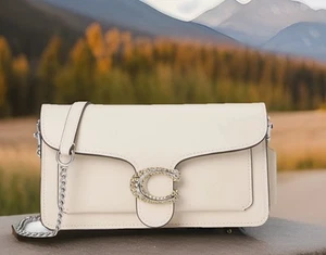 AUTÉNTICO NUEVO CON ETIQUETAS $325 COACH Bolso Bandolera de Cuero atigrado con cadena en tiza - Imagen 1 de 21