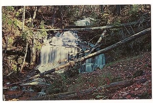 Fallen Trees Michigan WAGNER FALLS Munising Upper Peninsula MI POSTCARD - Picture 1 of 2