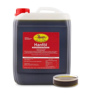 Hanföl 5L , Hanfsamenöl, Hanf, Hanfsaat aus deutscher Ölmühle - Bild 1 von 1