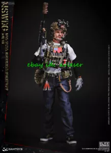 Damtoys 1/6 78072 Nswdg Naval Special Warfare Development Group Aor2 Ver Action - Foto 1 di 15