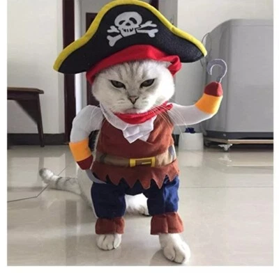 gato halloween disfraz pirata talla mediana  Foto 1 de 3