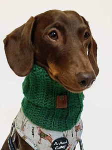 Kleegrün Strick Rolltop Hundeschal/Schal - UK Handarbeit - Bild 1 von 5