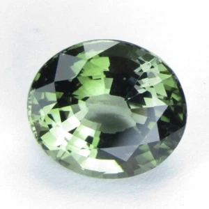 3,15 kt echter natürlicher grüner Turmalin 10 x 8,7 mm ovale Form Sammlung Edelstein - Bild 1 von 6