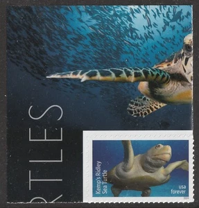 US 5865 Protect Sea Turtles Kemp's Ridley F corner single MNH 2024 - Picture 1 of 1