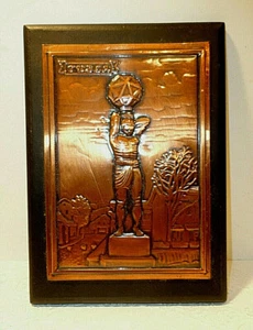 Placa de cobre Tuzla Eurofer - Imagen 1 de 5