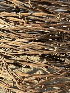 25 Feet Rusty Barbwire. Authentic Rusty Farm Barbwire. Rustic Crafting Décor - Picture 1 of 13