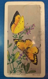 65' (NWF) Brooke Bond/ Red Rose Tea Butterflies Of N.A. Card - Picture 1 of 2