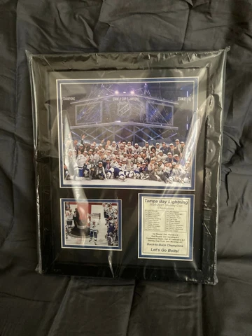 Tampa Bay Lightning 2019-2020 Stanley Cup Championship Picture in Frame Cover