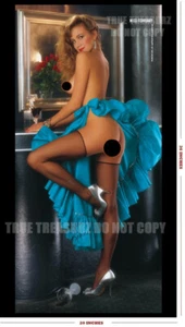 1988 Kari Kennell Playboy Playmate Promotional Centerfold Poster 36x20 NEW 88KA - Picture 1 of 2