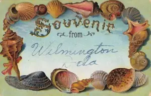 Wilmington, Delaware Muschel Grenze c1910s geprägt Vintage Postkarte - Bild 1 von 2