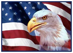Bald Eagle and an American Flag Counted Cross Stitch Chart - Picture 1 of 10