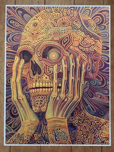 Verziertes trippiges psychedelisches Alex Grey Stil Poster 18 x 24 Zoll - Bild 1 von 1