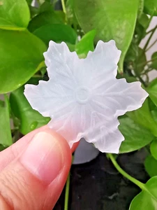 Natürlicher Selenit handgeschnitzt Schneeflocke Kristall Reiki Heilung Geschenk 1 Stck. - Bild 1 von 7