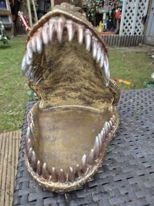 Jurassic Dinosaur Head Large Trinket Dish Centerpiece Prehistoric Reptile Gift - Picture 1 of 8