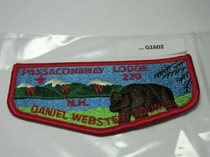 PASSACONAWAY LODGE 220 WITH DARK BROWN BEAR G1602 - Picture 1 of 1