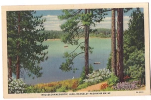 Postal MOOSELOOKMEGUNTIC LAKE Rangeley región de Maine ME lino - Imagen 1 de 2