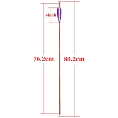 6/12X Archery 30" Carbon Arrows SP500 4" Feather Compound Recurve Bow Hunt Shoot - Image 1 of 4