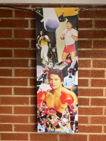 NEW 30x10apx ROBERTO DURAN vinyl Poster Mike Tyson Boxing ggg ryan Garcia fury Cover