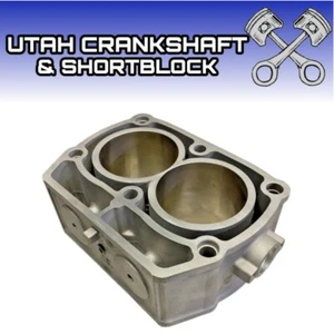 BIG BORE 83mm Plated OEM Polaris 800 RZR Sportsman Ranger Cylinder 2002-2009 - Picture 1 of 14