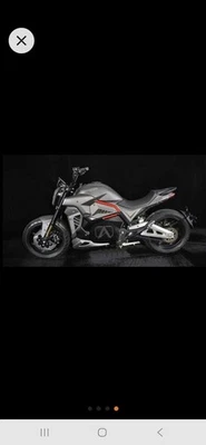 Alrando Bravo - Bild 1 von 3