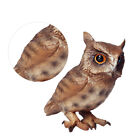 Creative Owl Adornment Owl Ornament Creative Ornament Owl Model Owl Figurine