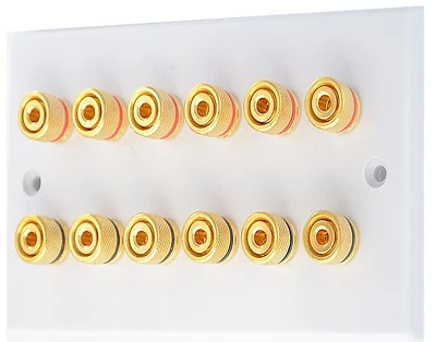 Audio AV Speaker Wall Face Plate 6.0  Gold 12 Binding Posts - White - Image 1 of 4