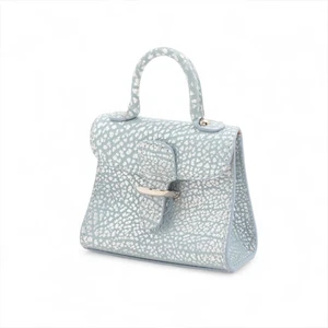 Delvaux Bolso Brillante Dije Cuero Azul Claro x Plata - Imagen 1 de 6