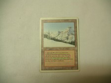 Magic: The Gathering Taiga Revised Heavily played