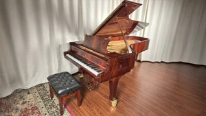 Steinway D Centennial Grand Piano (1880) – Fully Restored #44720 - Picture 1 of 19
