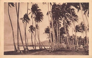 SAMOA - A storm - Publ. Society for the Propagation of the Faith (Catholic Missi - Picture 1 of 2