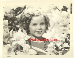 VINTAGE Shirley Temple REBECCA OF SUNNYBROOK '38 Publicity Portrait - Picture 1 of 1