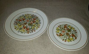 2er Set Vintage Corelle Corning indische Sommerteller 1 Abendessen & 1 Salat - Bild 1 von 4