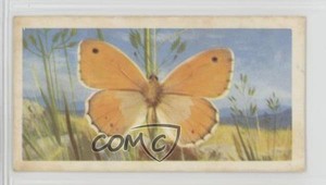 1963 Brooke Bond British Butterflies Tea Small Heath #9 0y5