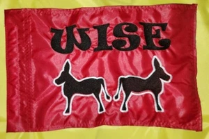Custom WISE A*SES Safety Flag ATV UTV JEEP Recumbent Trike Made to fit - Picture 1 of 4