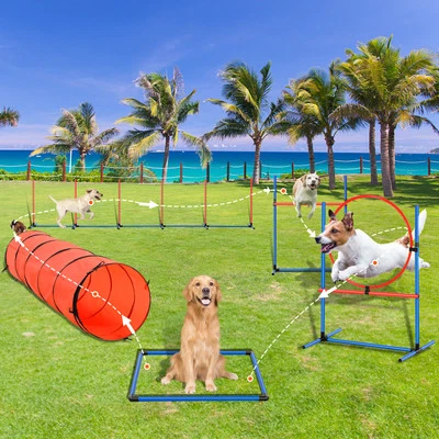 Dog Agility Training Kit Pet Obstacle Course Equipment Backyard 5 PCS Set - Image 1 of 4