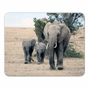 Alfombrilla de ratón "ELEFANTE" - 24x19cm - Goma musgo - Piel gruesa - Alfombrilla de ratón - Animales - Imagen 1 de 3