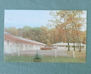 Cartolina pubblicitaria Pine City Minnesota Gail Motel Roadside HWY 61 ~ 1950 non spedita vintage - Foto 1 di 3