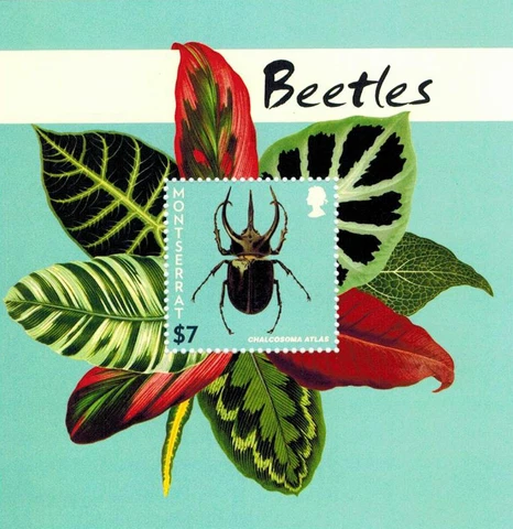 Montserrat - 2015 Chalcosoma Atlas Beetles  - Souvenir Sheet - MNH Cover