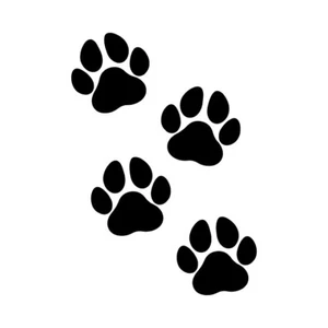 Acht Pfotenabdrücke Haustier Hund Welpe Vinyl Aufkleber Auto Fenster Autoaufkleber - Bild 1 von 1