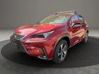2019 Lexus NX300 300