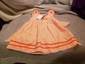 LIL CACTUS ORANGE PINSTRIPE PUMPKIN EMBROIDERED A-LINE DRESS SZ 3-6 MONTHS NWT - Picture 1 of 8