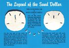Postcard The Legend Of The Sand Dollar Holy Ghost Shell Religion Christ's Wounds