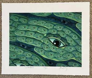 Impresión artística Alex Grey mano verde S/# 200 herramienta psicodélica visionaria póster artista - Imagen 1 de 5